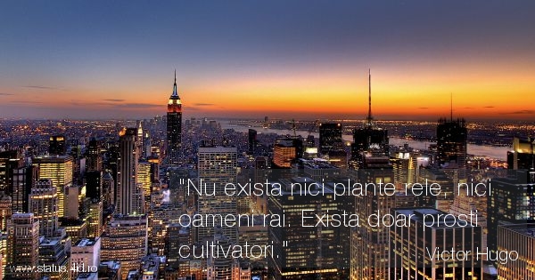 Citate - #4075