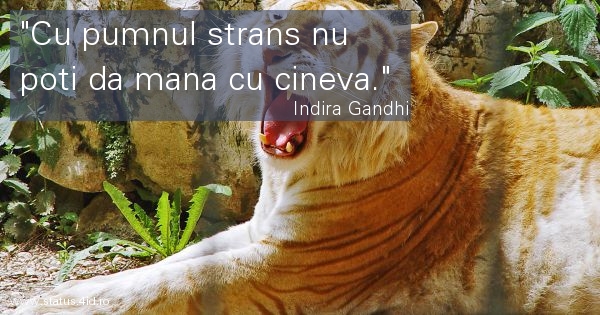 Citate - #4109