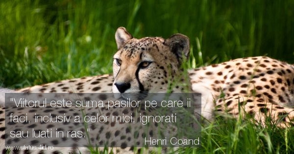 Viitorul este suma pasilor pe care ii faci,...
