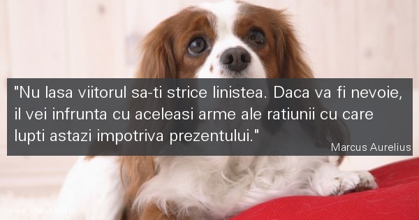 Citate despre viata - #4259