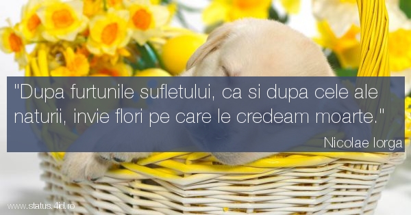 Citate - #4280