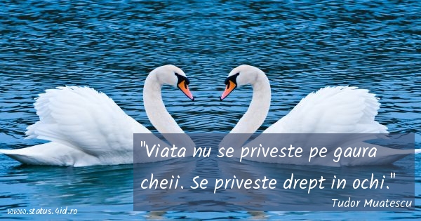Citate despre viata - #4361