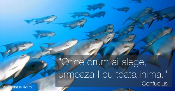 Citate despre viata - #4395