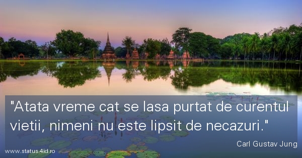Atata vreme cat se lasa purtat de curentul...