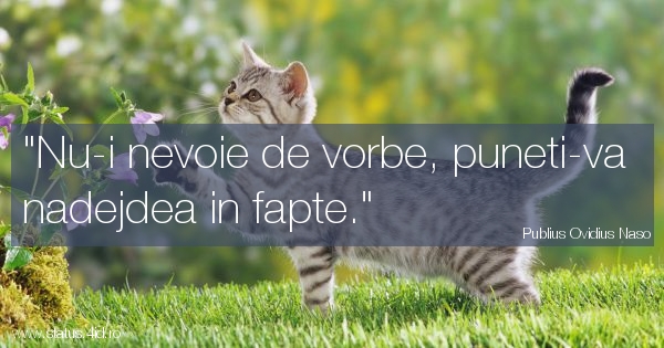 Citate - #4468