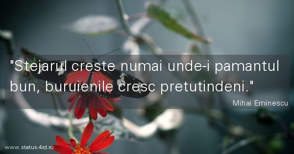 Citate despre viata - #4511