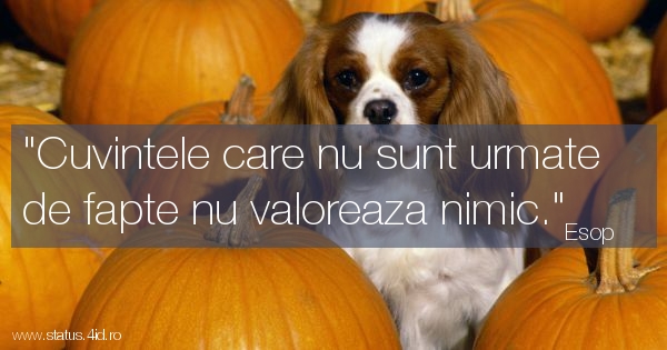 Citate despre viata - #4512