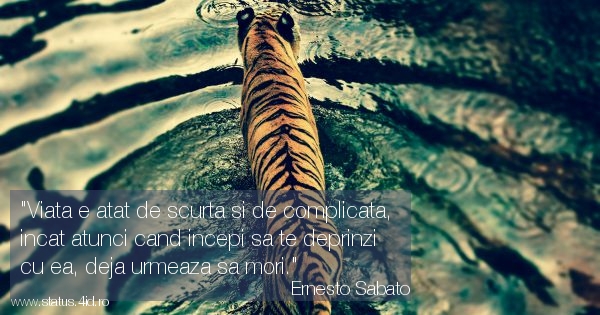 Citate - #4514