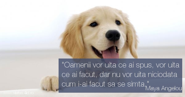 Citate - #4698