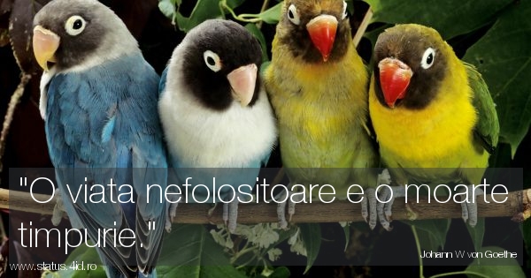 Citate despre viata - #4720