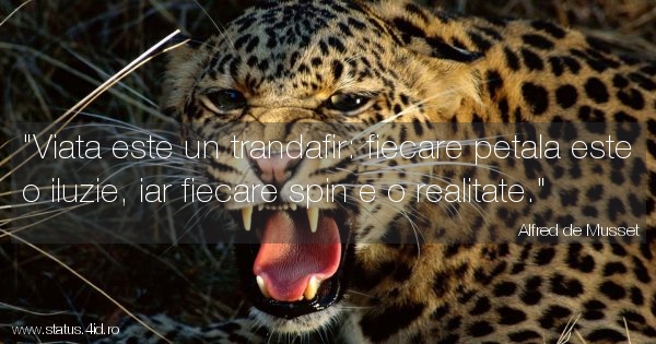 Citate despre viata - #4865