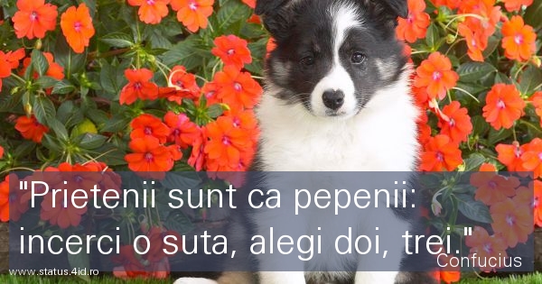 Citate despre viata - #5094