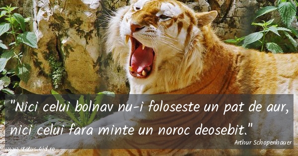 Citate despre viata - #5108