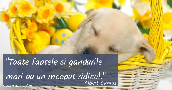 Toate faptele si gandurile mari au un inceput...