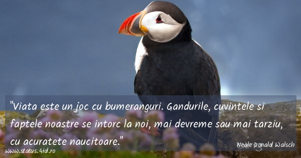 Citate despre viata - #5546
