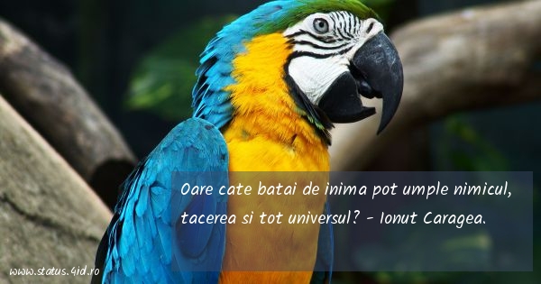 Citate filosofice - #1974