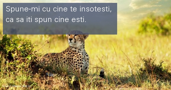 Citate filosofice - #1980