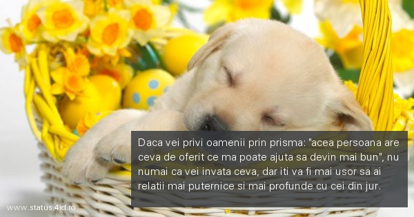 Daca vei privi oamenii prin prisma: 