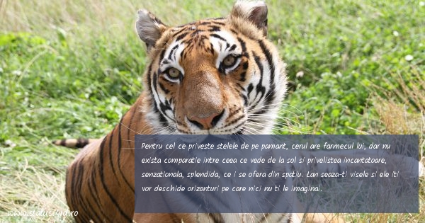 Citate filosofice - #2953