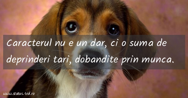 Caracterul nu e un dar, ci o suma de deprinderi...