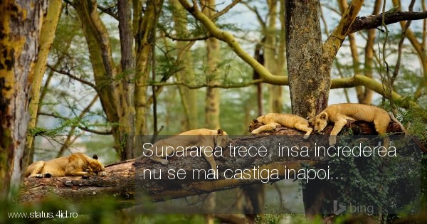Supararea trece, insa increderea nu se mai...