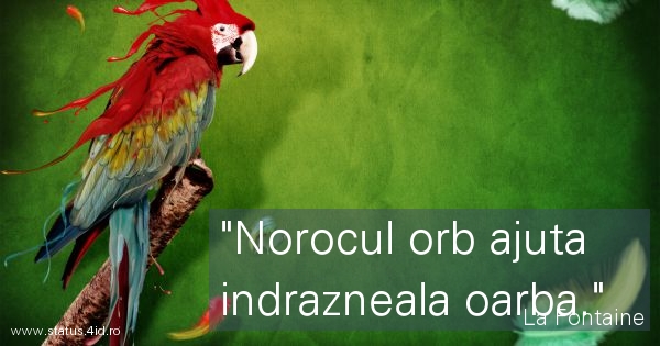 Citate - #4055