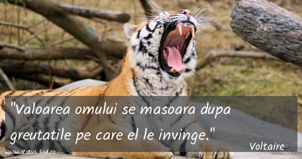 Citate filosofice - #4376