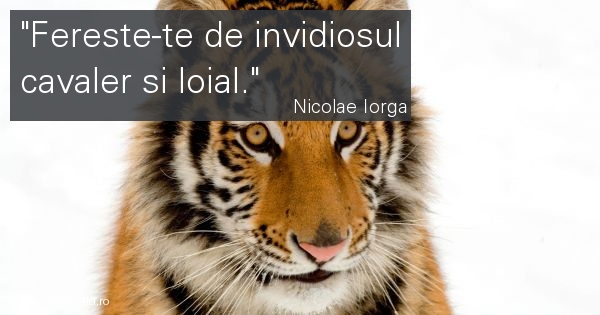 Citate - #4820