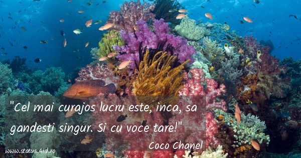 Citate filosofice - #5395