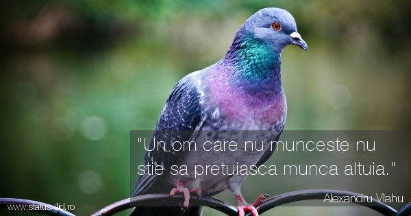 Un om care nu munceste nu stie sa pretuiasca...