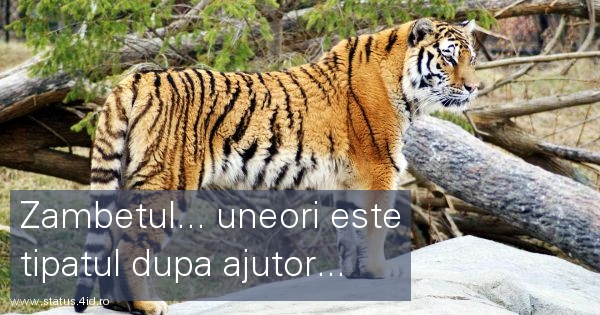 Citate triste - #2539