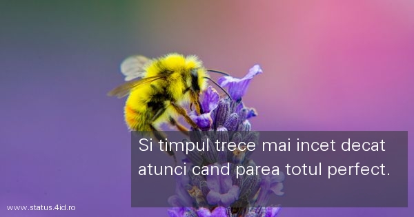 Citate triste - #2784