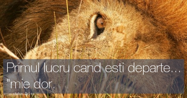 Citate triste - #3391
