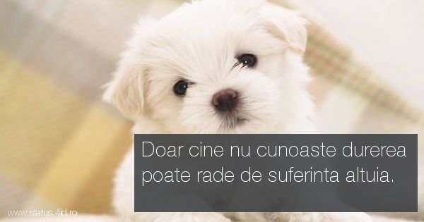 Citate triste - #3410