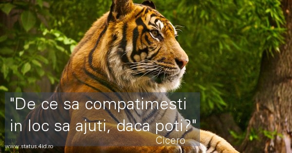Citate triste - #4224