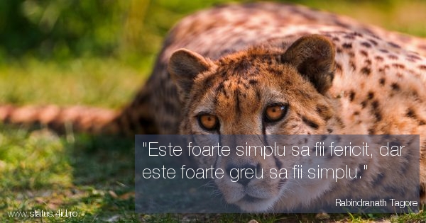 Citate - #5276